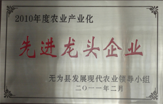 2010年度農(nóng)業(yè)產(chǎn)業(yè)化先進龍 頭企業(yè)